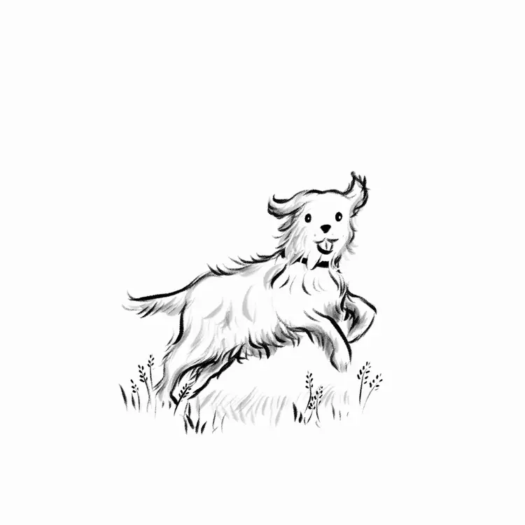 Chapter Header